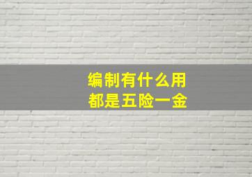 编制有什么用 都是五险一金